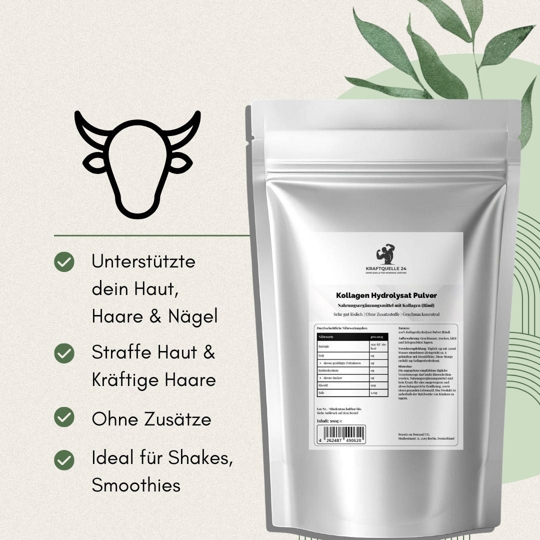 Kollagen Hydrolysat Pulver | Typ 1 & 3 | 500g Beutel