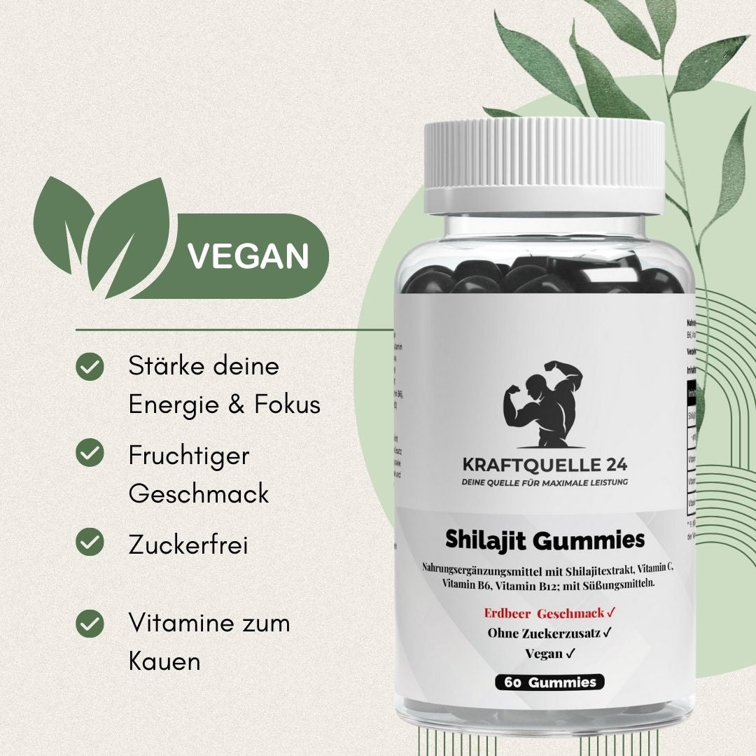 Energy & Fokus-Bundle